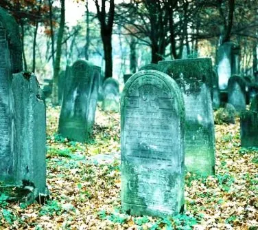 Nagrobki z napisem w języku hebrajskim na ziemi pokrytej opadłymi liśćmi w lesie.