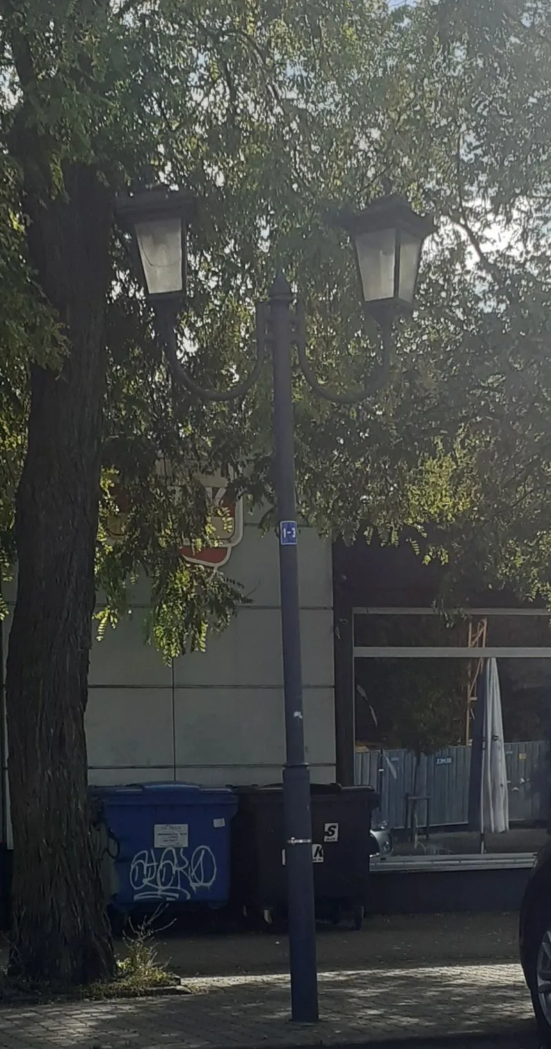 Metalowa latarnia miejska z dwoma kloszami stojąca na chodniku obok drzewa i kubłów na śmieci.