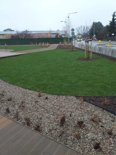 Trawnik z młodymi drzewkami, obsadzony kamiennym gruntem i chodnikiem z kostki brukowej wzdłuż ulicy z autobusem.