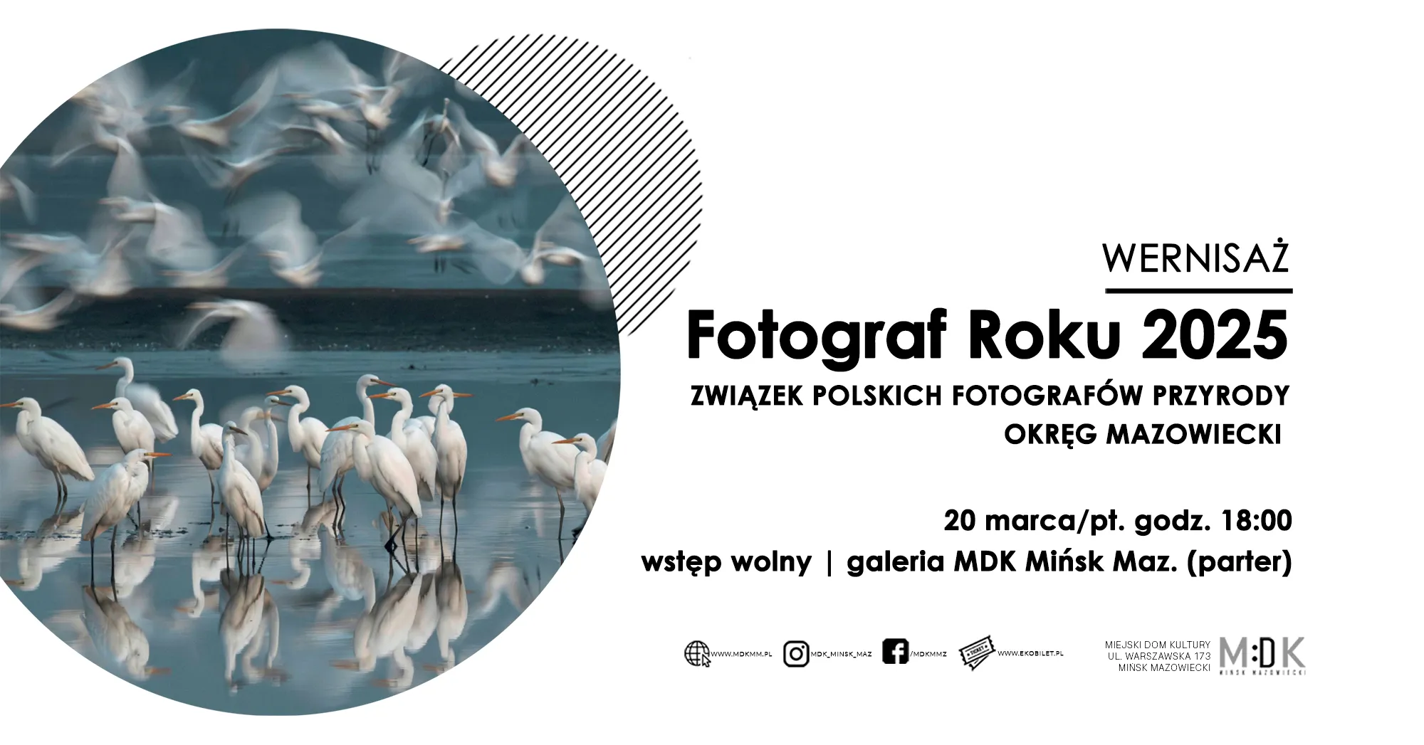 Kliknięcie powiększy obraz. Lewa strona zawiera okrągłe zdjęcie grupy białych czapli stojących w płytkiej wodzie z wyraźnymi odbiciami. W tle nad wodą zamazane, poruszające się ptaki. Prawa strona ma białe tło z czarnymi elementami graficznymi i tekstowymi oraz skośnymi paskami dekoracyjnymi.