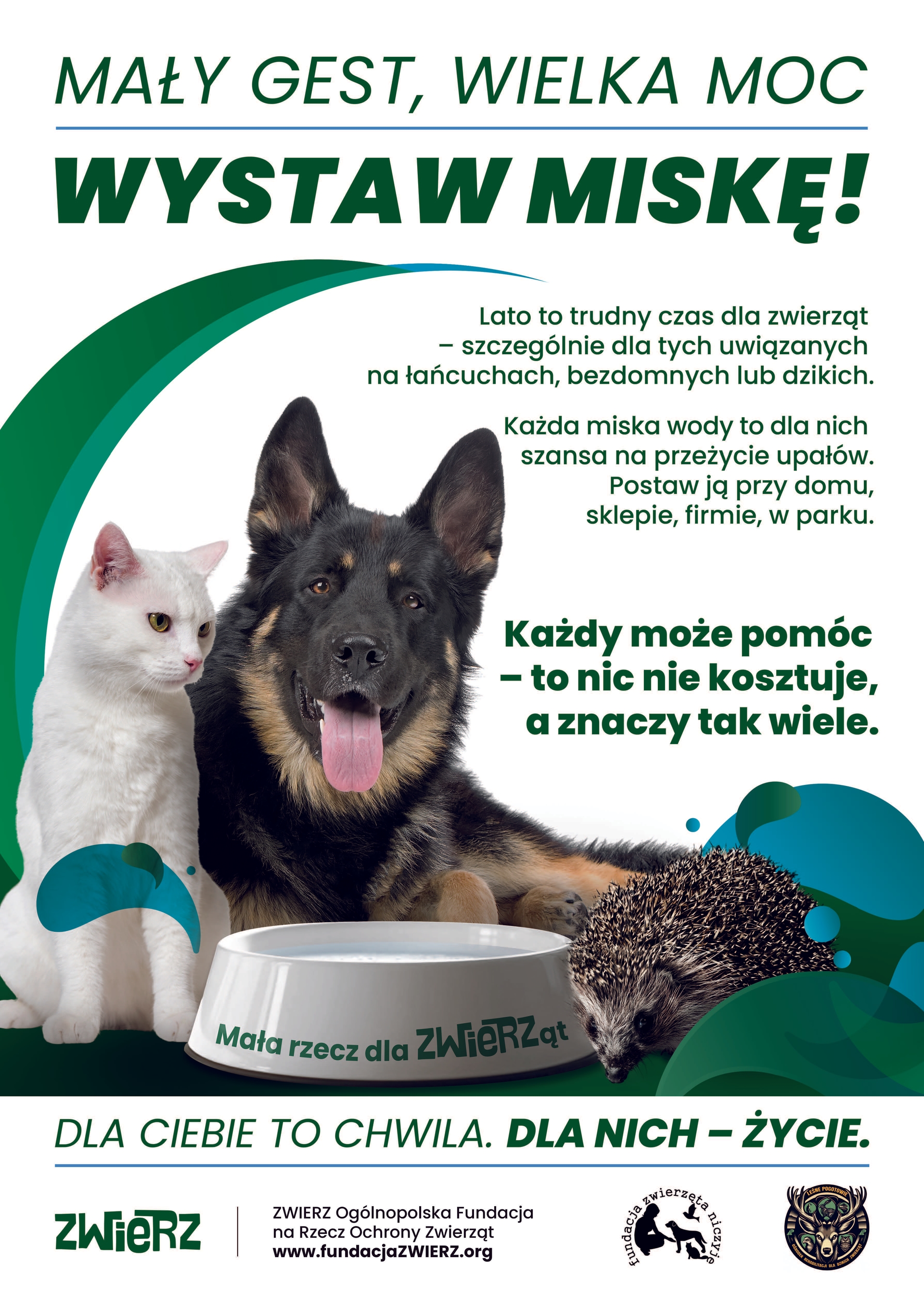 Kliknięcie powiększy obraz. Trzy zwierzęta — biały kot po lewej, czarny owczarek pośrodku z wystawionym językiem i jeż po prawej — stoją wokół białej miski z wodą. Obraz ma białe tło z zielonymi, półokrągłymi wzorami, a u dołu widoczne są logotypy organizacji.