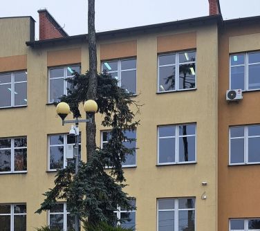 zdjęcie szkoły przed którą stoi drzewo, krzew i latarnia z zamontowanym monitoringiem