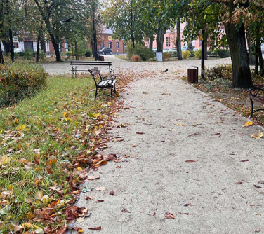 Na dworze, pochmurno. Alejki na skwerze jesienią. Pomiędzy drzewa, ławeczki i śmietniki