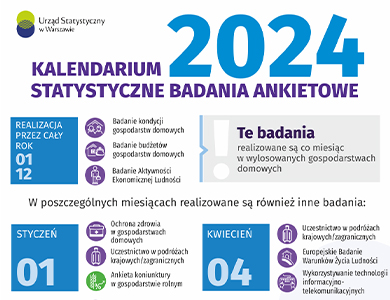 Na białym tle. Statystyczne badania ankietowe w 2024 r.